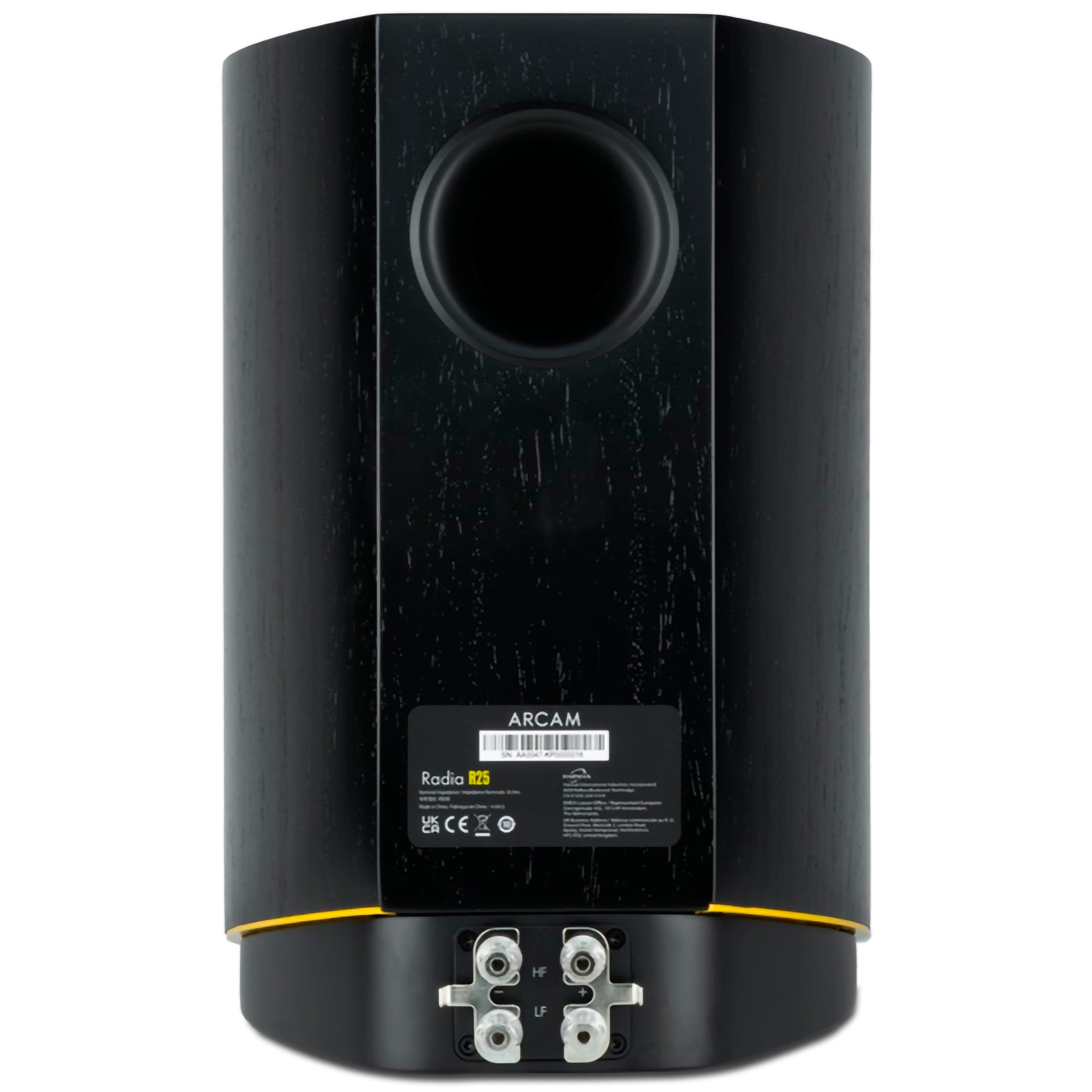Arcam R25